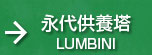 i㋟{ LUMBINI